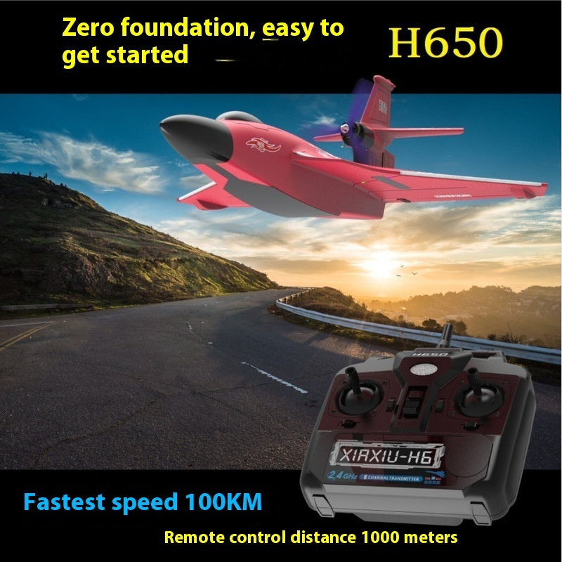 H650 Großes RC-Flugzeug, wasse – Rc Wing Glider Bewertung und Preis